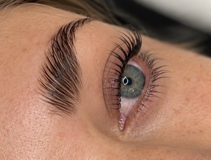 Laminado de cejas