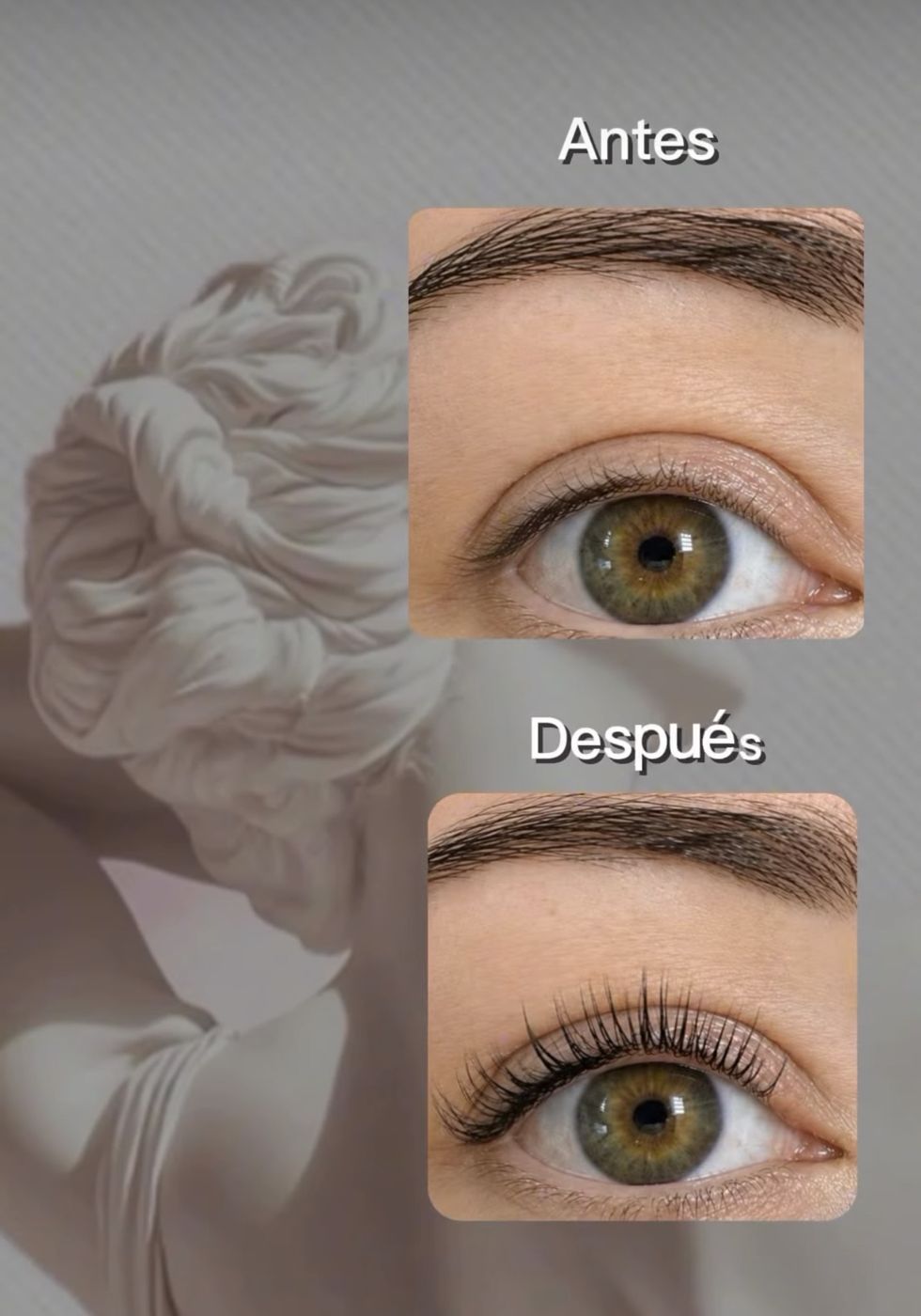 Lifting de pestañas, antes y después